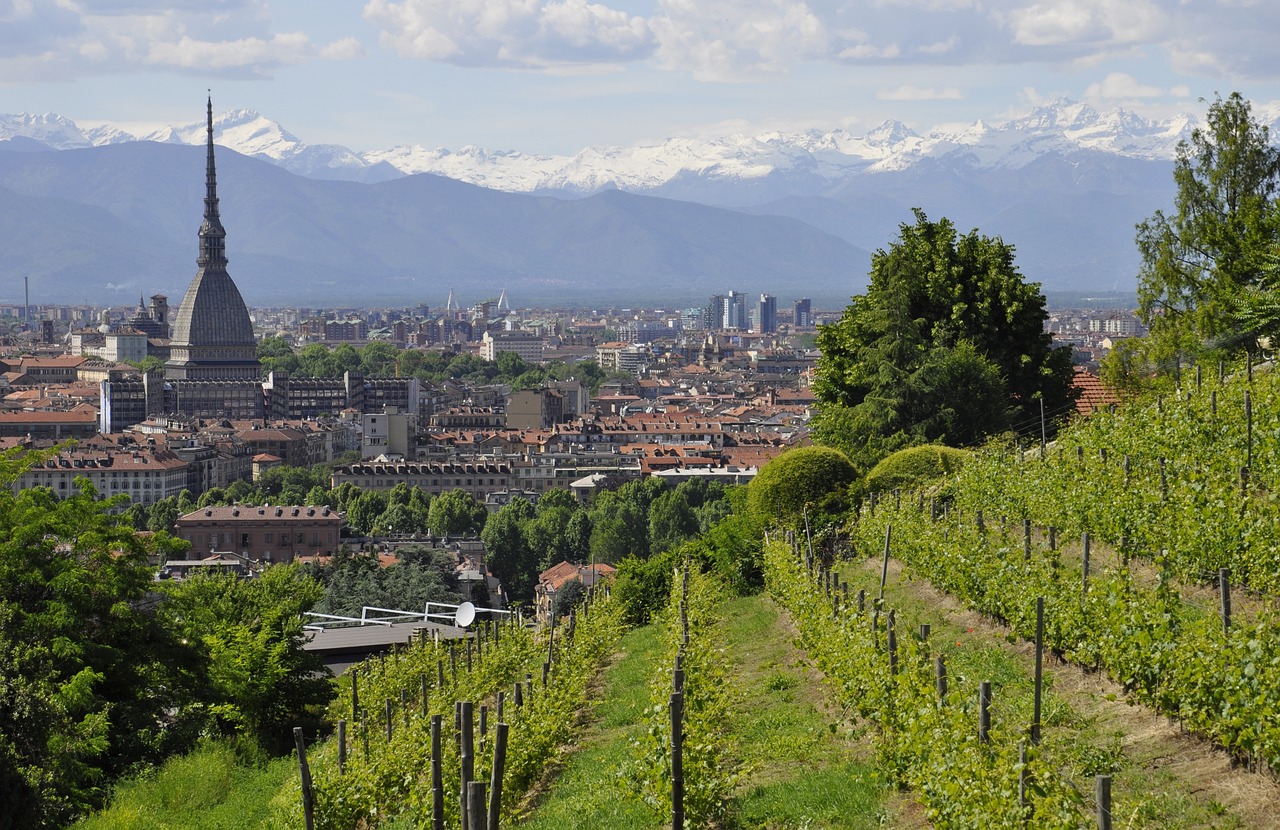 veduta di torino